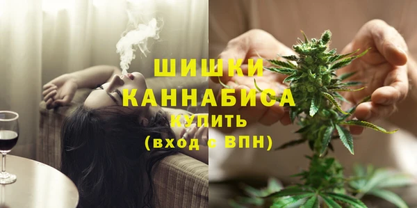 молекула духа Иннополис